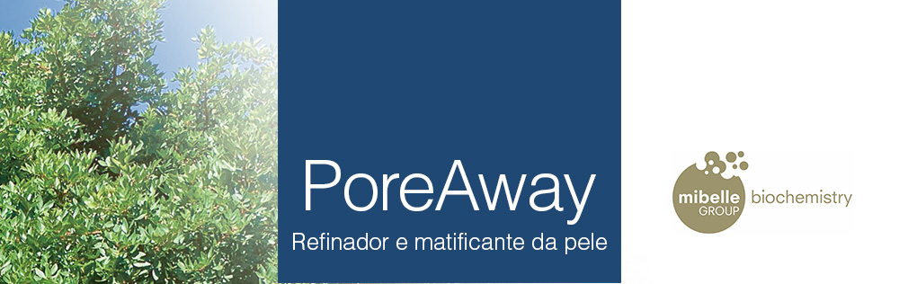 PoreAway: Refinador e matificante da pele